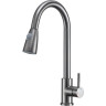 Смеситель для кухни с выдвижной лейкой FRAP H991 F60991-9
